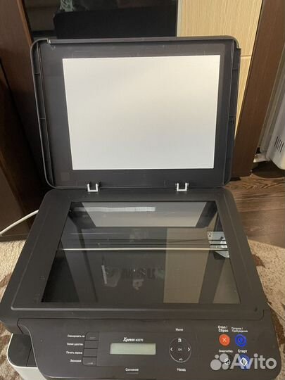 Принтер лазерный мфу samsung 2070