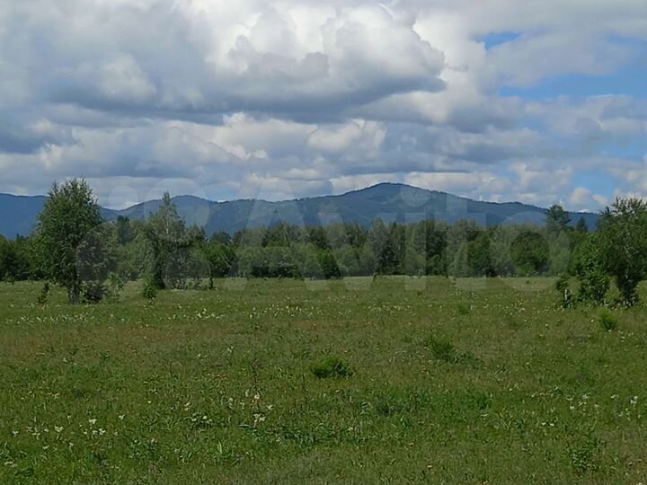 Участок 4 га (ИЖС)