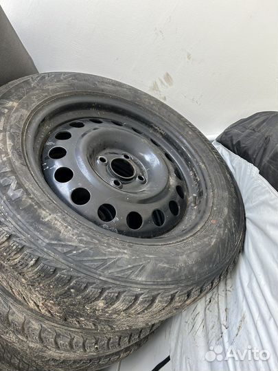 Nexen Winguard Spike WS62 205/60 R16