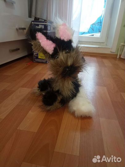 Меховой пёс