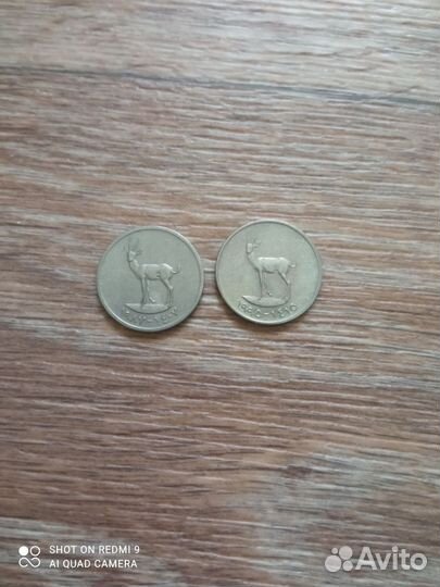 Монета ОАЭ с оленем