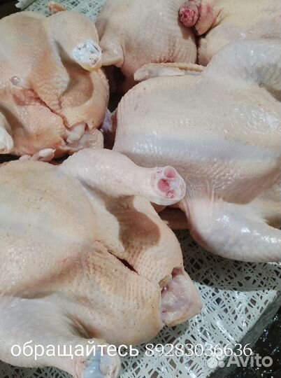 Бройлеры (халяль)