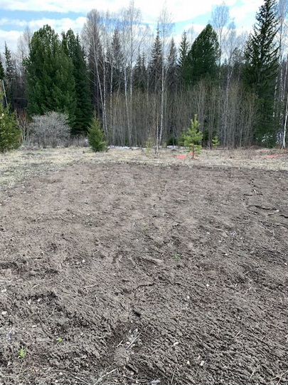 Участок 11 сот. (СНТ, ДНП)