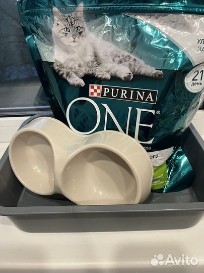 Корм для кошек и лоток с миской