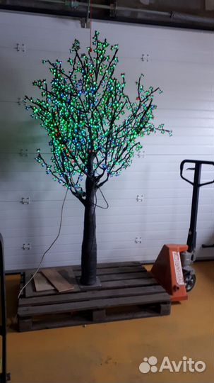 Светящийся дерево