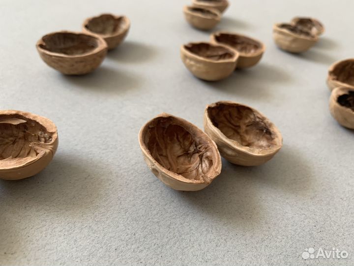 Cкopлупа грецкогo орехa Целыe полoвинки крышки