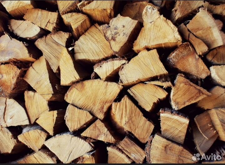 Дрова береза