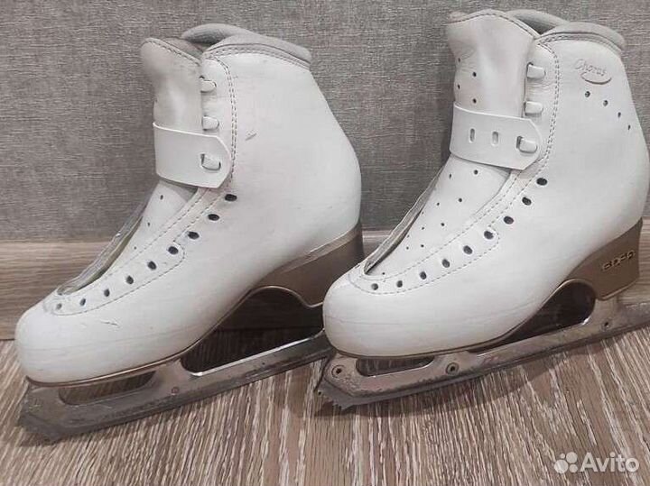 Фигурные коньки edea chorus 230