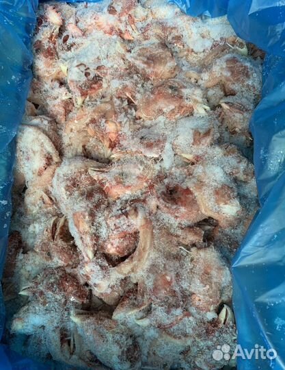 Корма для животных