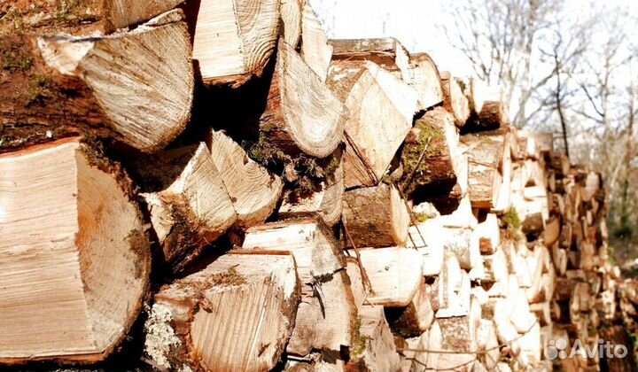 Дрова гост