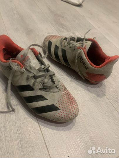 Бутсы adidas predator