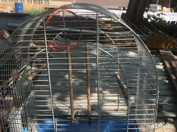 Клетка для птиц бу