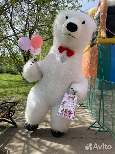 Белый мишка поздравление на праздник