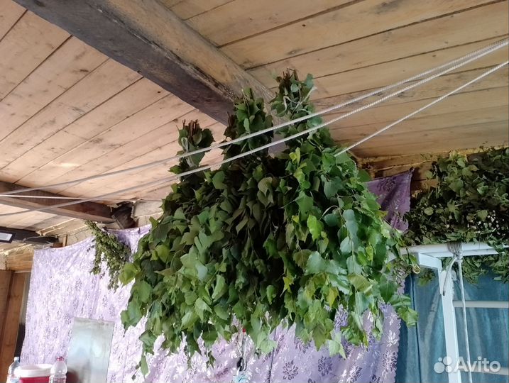 Берёзовый веник для бани