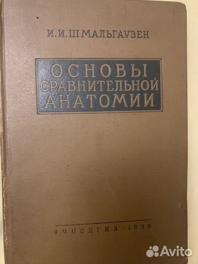 Основы сравнительной анатомии