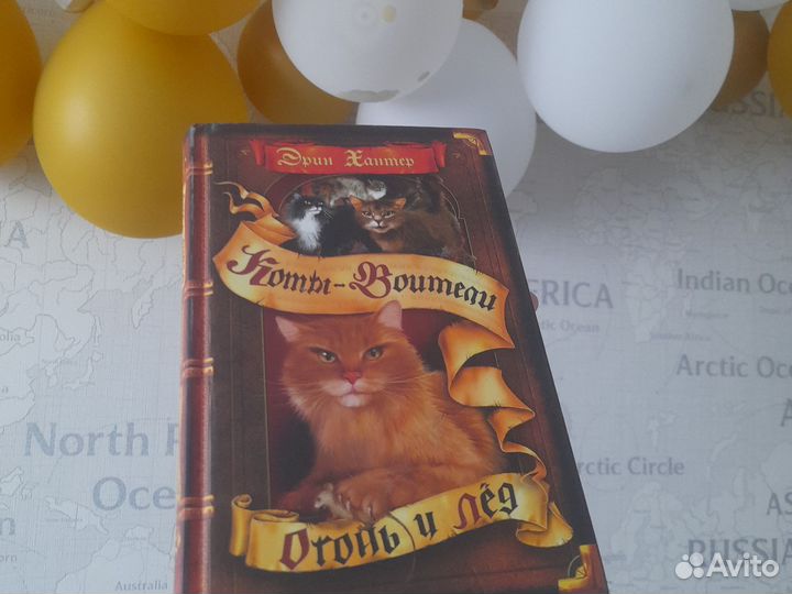 Книга кот -ваитель