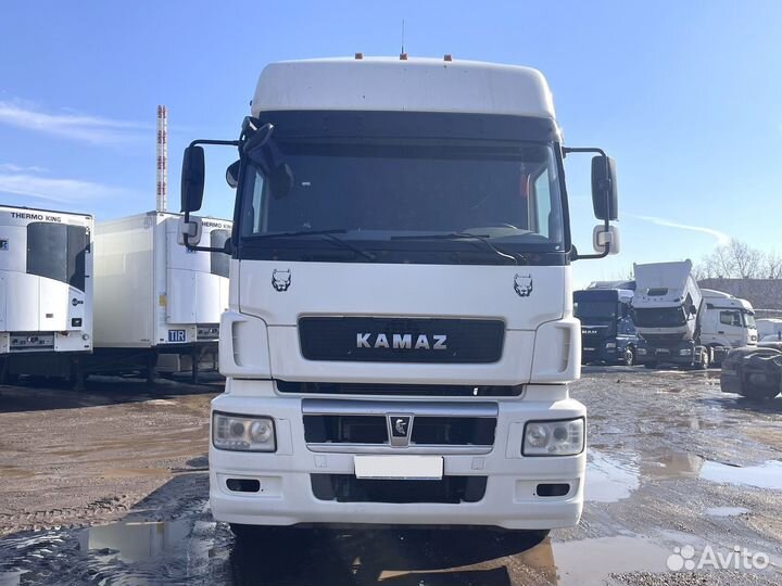 КАМАЗ 5490, 2018