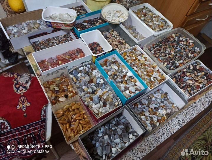 Крошка галтованная