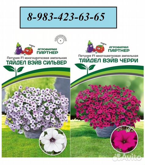 Рассада петунии Тайдал каскадно-ампельная