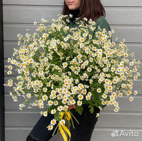 Букет цветов из полевых ромашек