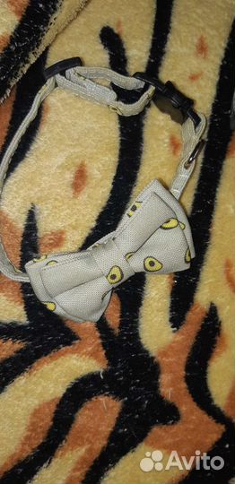 Бабочка для собак и кошек