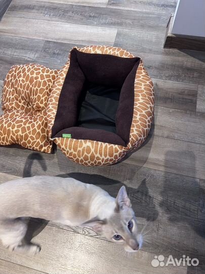 Лежанка для кота