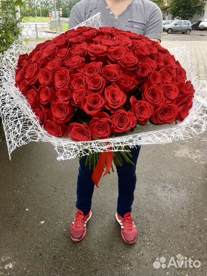 101 Роза Букеты Цветы Розы 25 51 151 Доставка