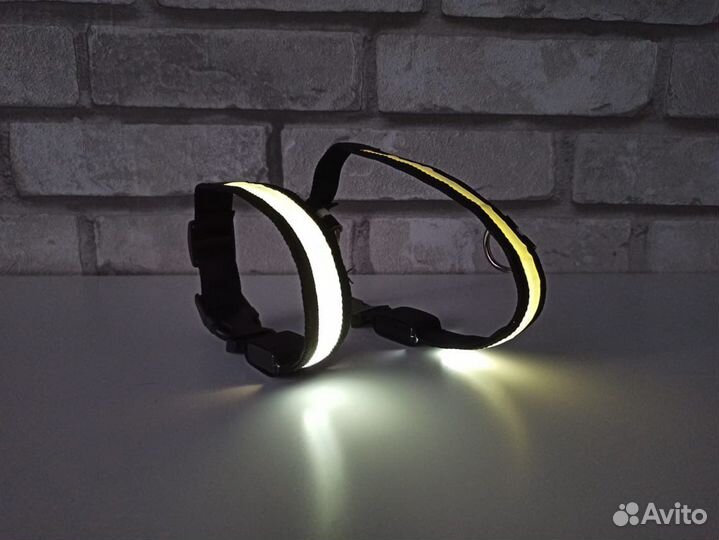 Ошейники, рулетки, поводки для собак