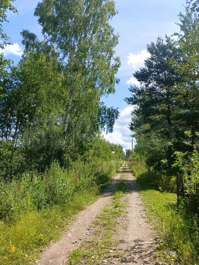 Участок 6 сот. (СНТ, ДНП)