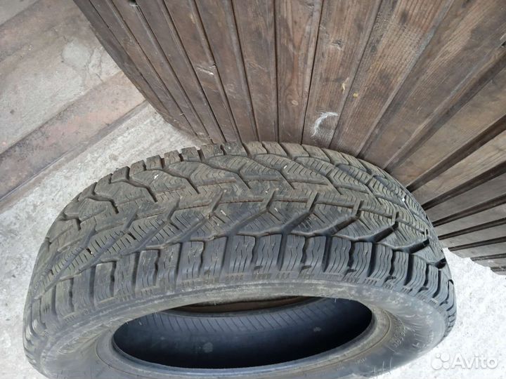 Tigar Winter 65/20 R16