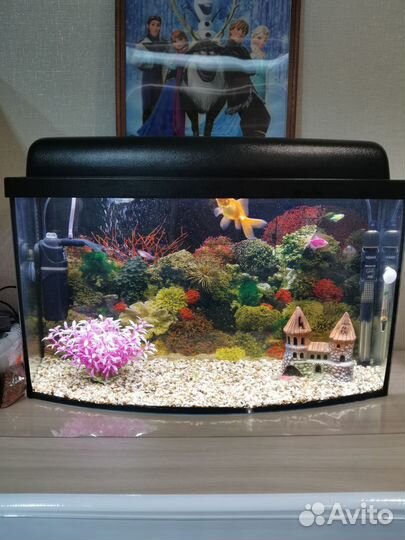Аквариум