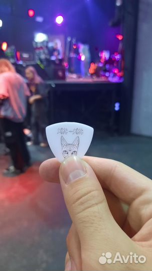 Кис кис медиатор и сетлист с презентации альбома