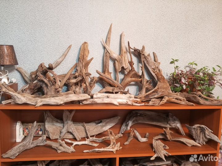 Коряги для аквариума Дерево Ольха и Ива