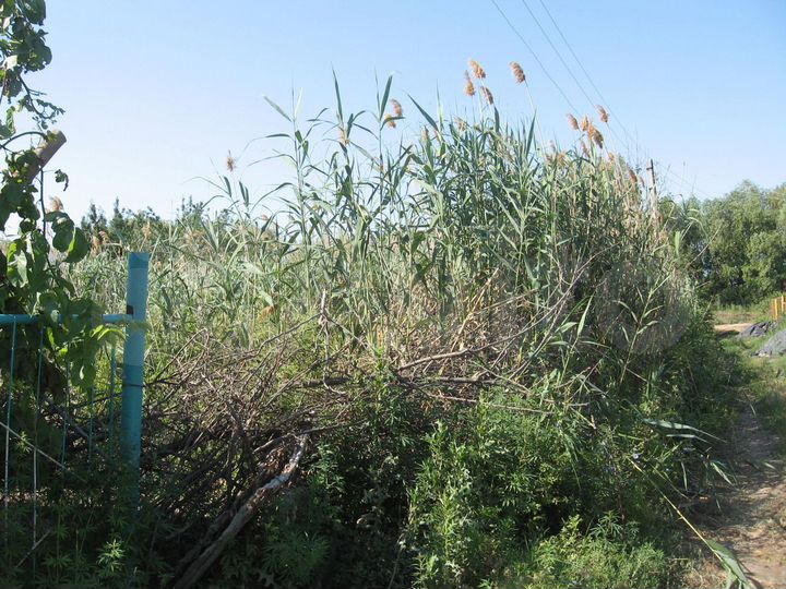 Участок 6 сот. (ИЖС)