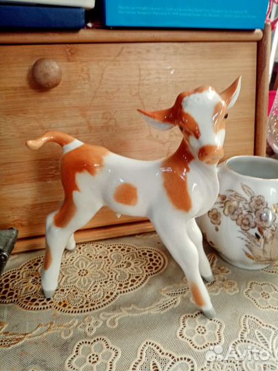 Теленок лфз