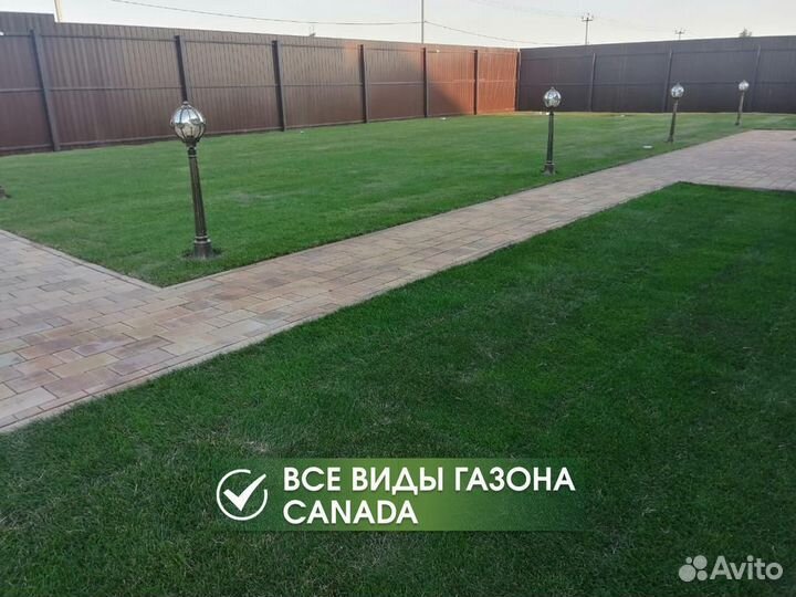 Рулонный газон с доставкой