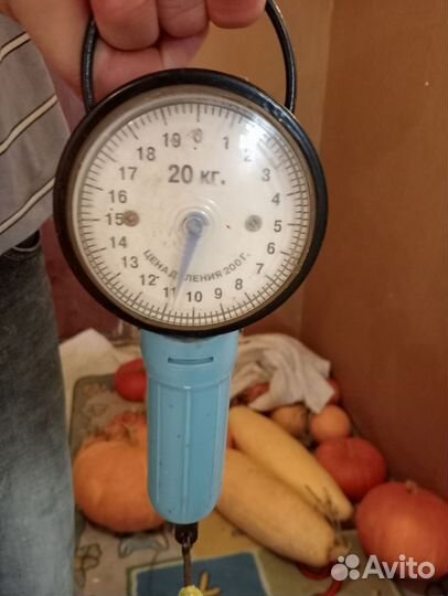 Семена мускатной тыквы Розовый банан 15 штук