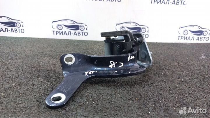 Петля багажника Q7