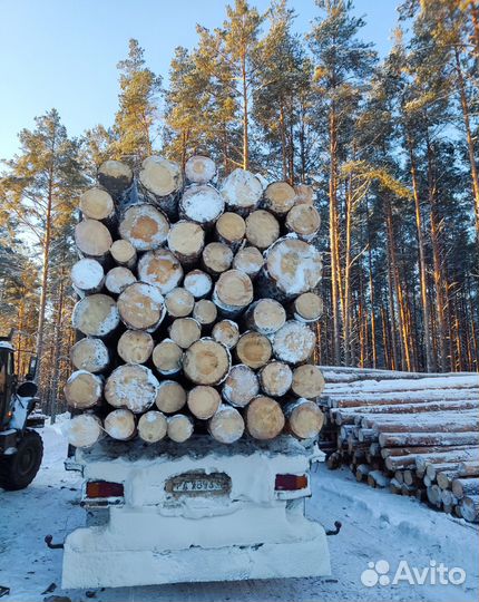 Пиловочник Кругляк Деловой