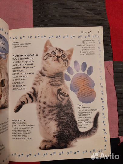 Книги для детей