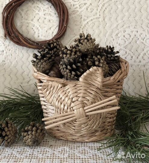 Шишки сосновые
