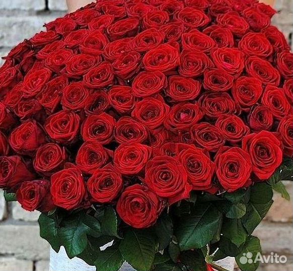 Высокие розы 150 160 170 180 190см доставка Москва