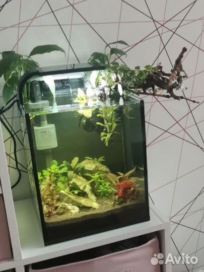 Аквариум