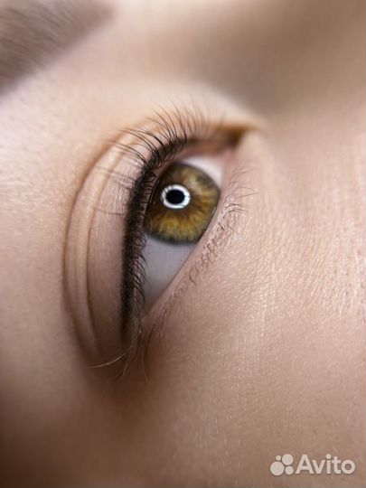 Модель на перманент межреснички