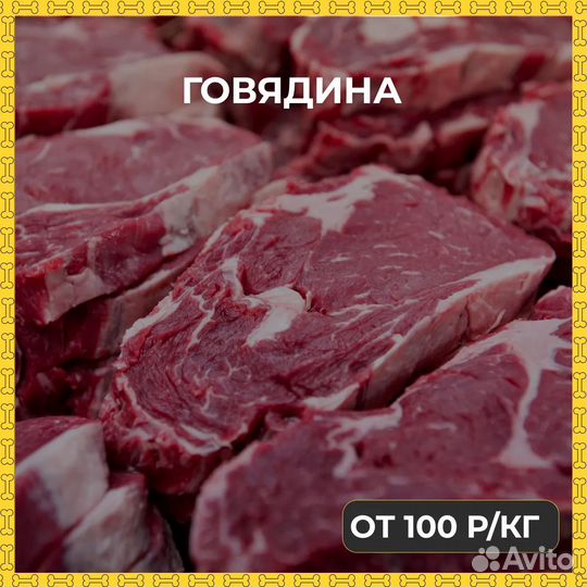 Мясо и субпродукты для животных в Гатчине