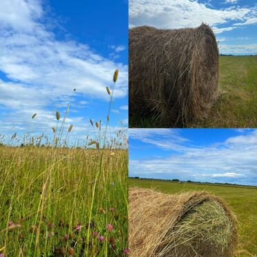 Сено в рулонах