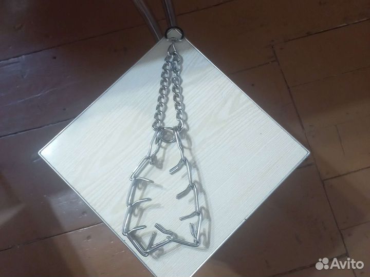 Строгий ошейник для собак
