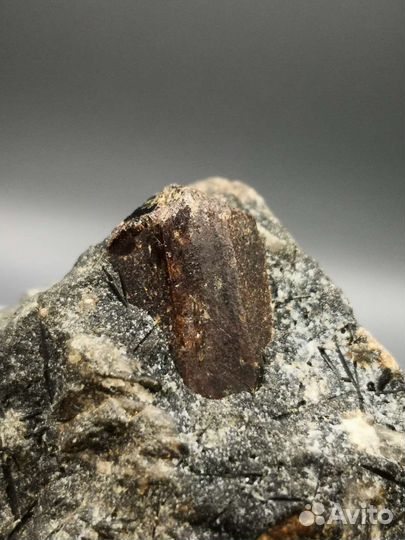 Рамзаит (лоренценит). Хибины