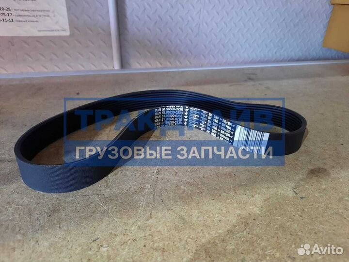 Оригинальный ремень 8PK880