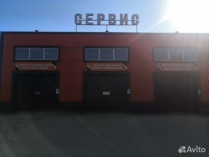 Автоэлектрик диагност